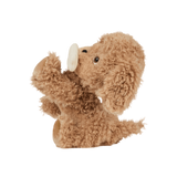 Olli Ella OEKDIN-DIN-GO-E Chien Dinkum - Goldie - Olli Ella vendu par Veille sur toi