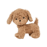 Olli Ella OEKDIN-DIN-GO-E Chien Dinkum - Goldie - Olli Ella vendu par Veille sur toi