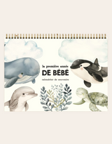 Rainbows & Lollipops ⚜ CALBB4 Calendriers de première année de bébé – Animaux marins - Rainbows & Lollipops vendu par Veille sur toi