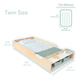 Sapiens Child APPLE TWIN - Montessori Floor Bed with Rails & Shelves vendu par Veille sur toi