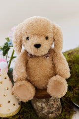 Snuggle Bunnies SB-174460 Peluche - Honey le chien - Snuggle Bunnies vendu par Veille sur toi
