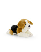 Snuggle Bunnies SB-Brook Peluche Brooklyn le chien beagle - Snuggle Bunnies vendu par Veille sur toi