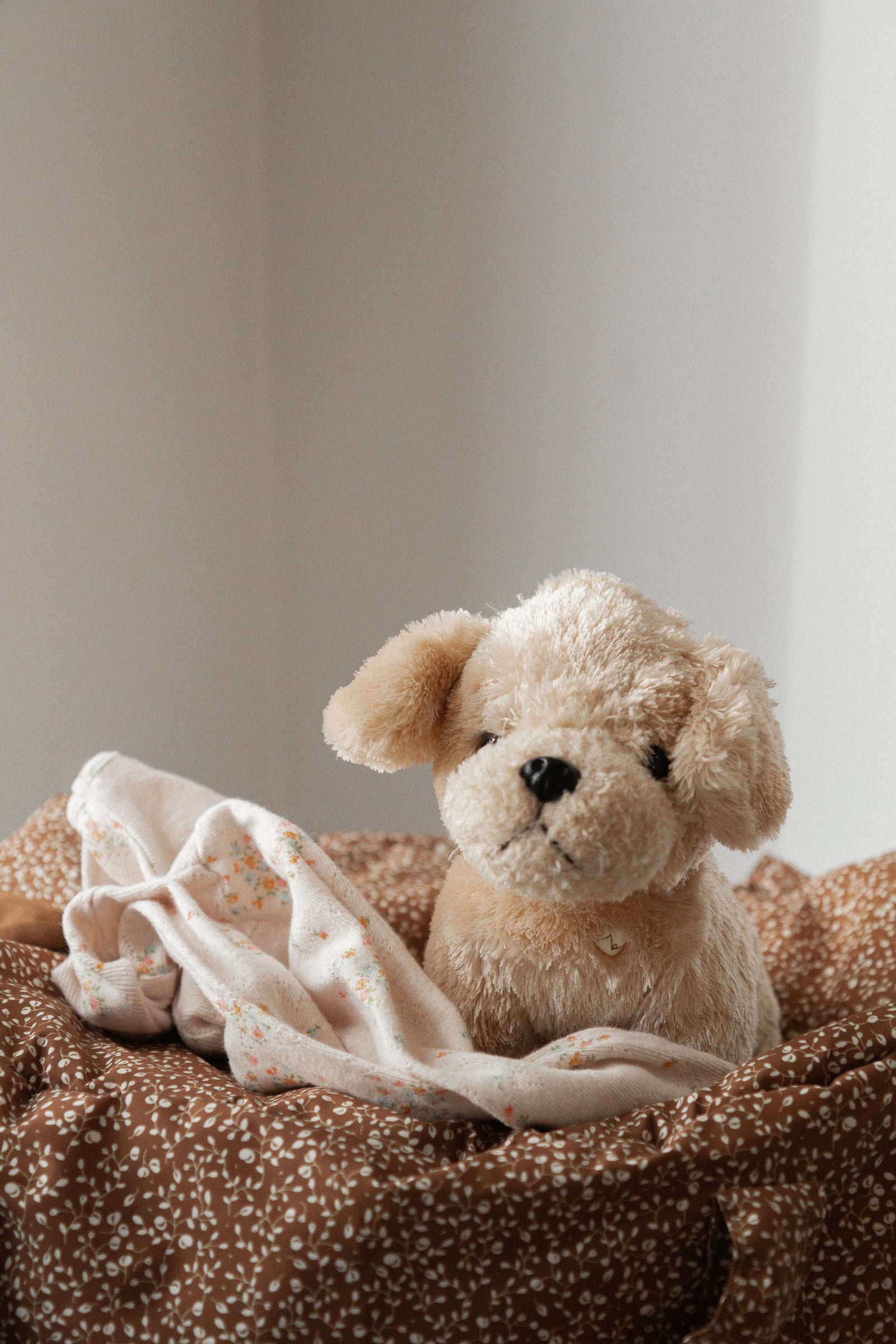 Lot Vêtements Bébé River Island 12-18 Mois - Crème, Unisexe - Neuf Avec étiquettes - Idéal Cadeau