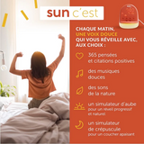 Sun - Réveil - Morphée