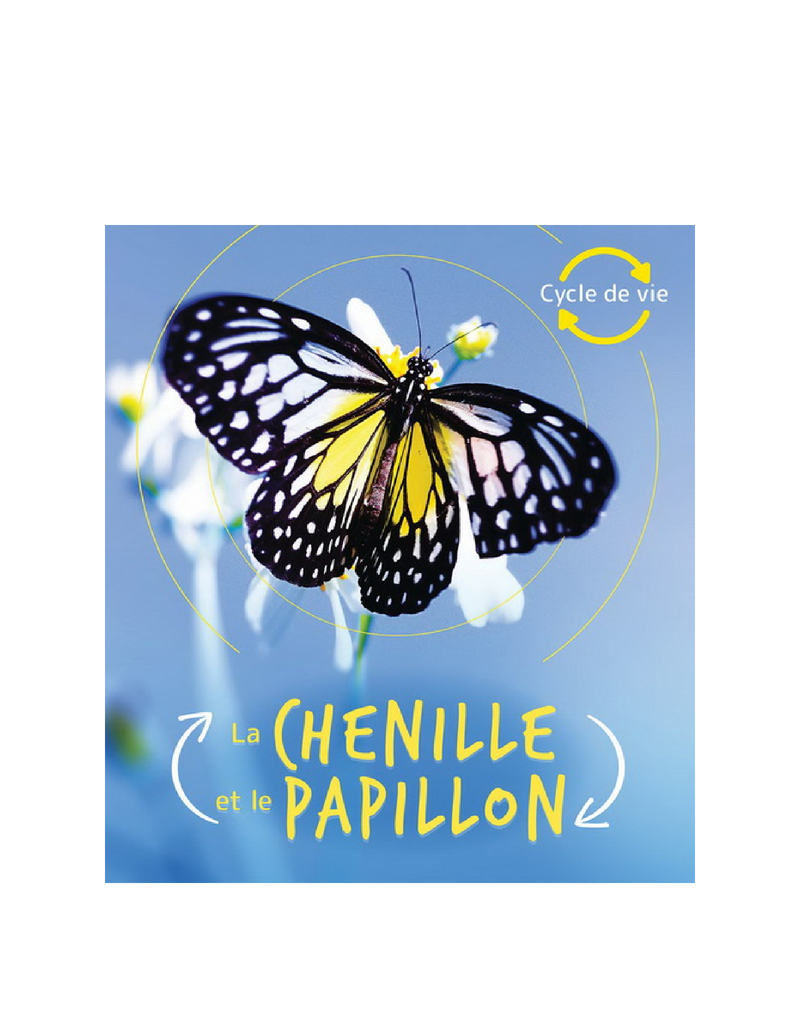 Cycle de vie: La chenille et le papillon - Scholastic