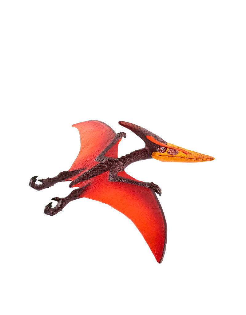 Dinosaure - Pteranodon - Schleich Default marque  Schleich vendu par Veille sur toi