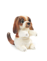 Marionnette à Doigt Mini Martin-pêcheur Folkmanis - Jouet En Peluche Réaliste Pour Enfants Dès 3 Ans (8,9 Cm) - 11