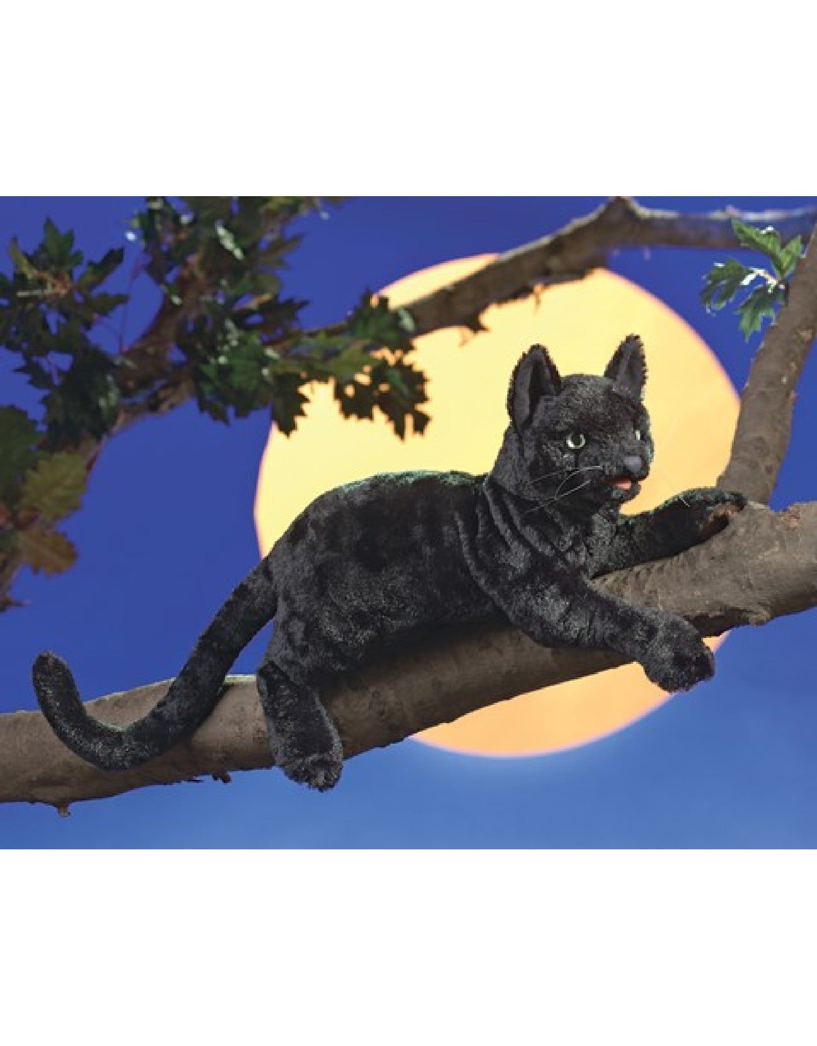 Marionnette Chat noir Folkmanis – Veille sur toi - Main Image