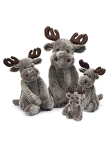 Jellycat WB3M Peluche - Marty orignal Bashful Woodland - Moyen - Jellycat vendu par Veille sur toi