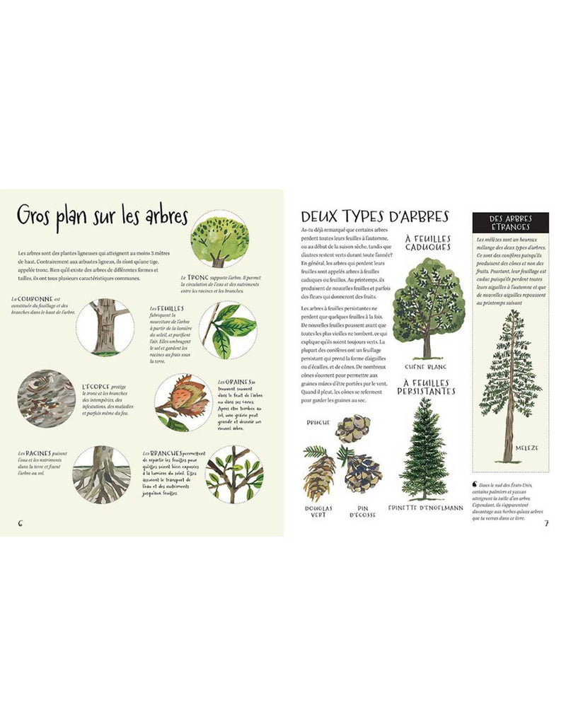 Livre 9781443173841 Livre - En pleine nature : Les arbres vendu par Veille sur toi