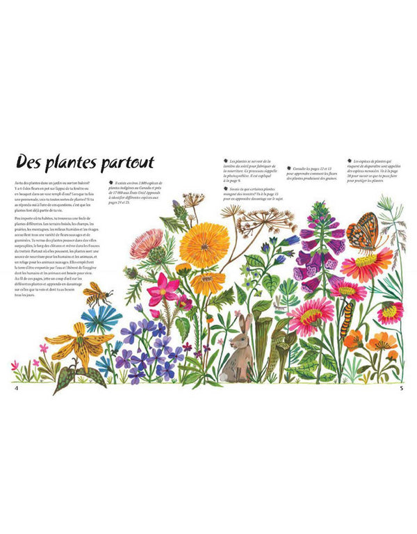 Livre 9781443180948 Livre - En pleine nature : Les plantes vendu par Veille sur toi