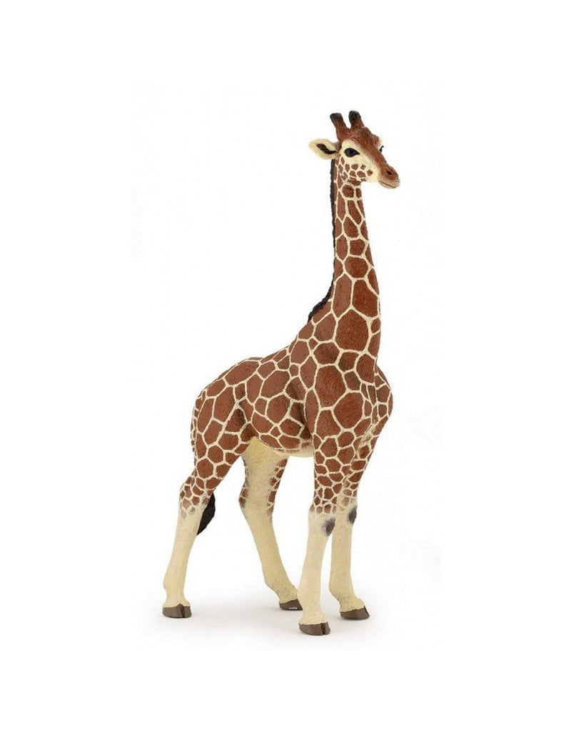 Papo 50149 Figurine - Girafe mâle - Papo vendu par Veille sur toi