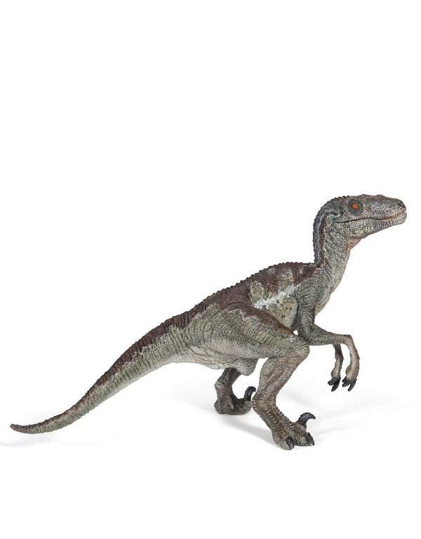 Papo 55023 Figurine dinosaure - Vélociraptor sans plume - Papo vendu par Veille sur toi