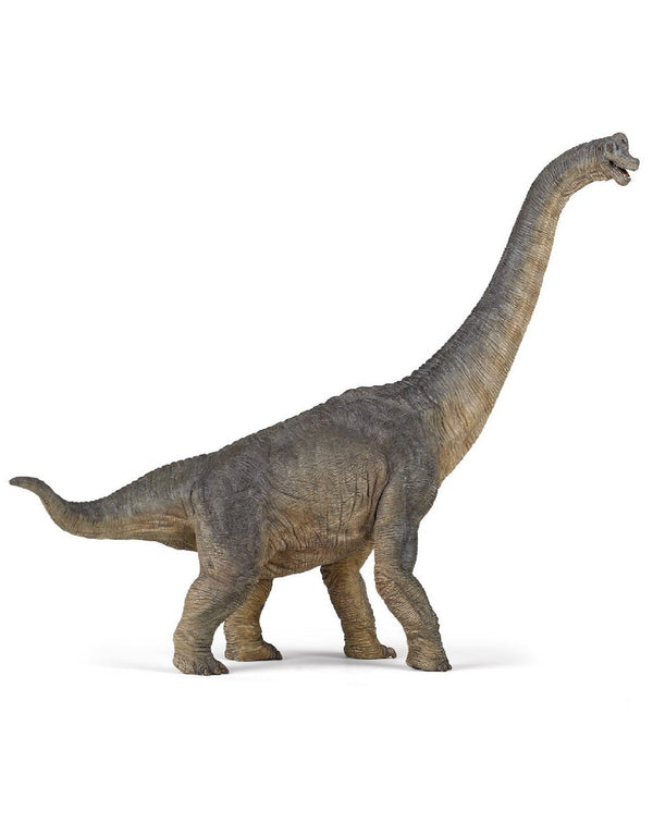 Papo 55030 Figurine dinosaure - Brachiosaure - Papo vendu par Veille sur toi
