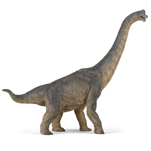 Figurine dinosaure - Brachiosaure - Papo – Veille sur toi
