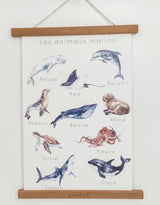 Pastel PASTEL-AFF-ANI-MARINS Affiche éducative et décorative - Animaux marins - Pastel vendu par Veille sur toi