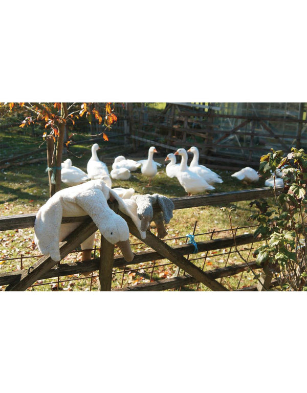 Peluche câline - Petite oie grise Default marque  Senger Naturwelt vendu par Veille sur toi