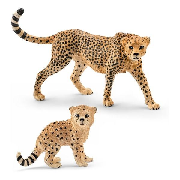 Animal Female Cheetah – Veille sur toi
