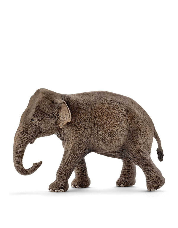 Schleich 14753 Figurine - Éléphant d'Asie femelle - Schleich vendu par Veille sur toi