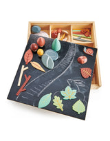 Tender Leaf Toys TL8369 Boîte de jeu - Mon sol forestier - Tender Leaf Toys vendu par Veille sur toi